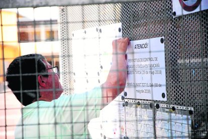 La colònia de tèrmits va aparèixer ahir al migdia en aquests plafons que hi ha a la zona de despatxos dels professors.