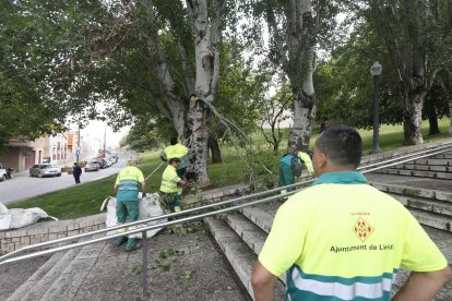 Operaris dels serveis de jardineria, als voltants de la Seu.