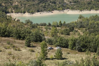 Cinco detenidos y confiscadas 2.000 plantas de marihuana en Camarasa