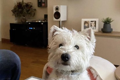 #AmbSegreaCasa entrega tres subscripcions digitals