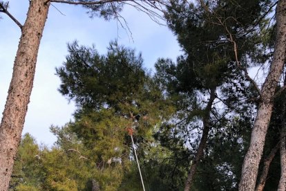 L’actuació forma part de la campanya de prevenció de cada any.