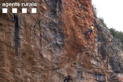Un dels tres escaladors denunciats a Santa Linya.