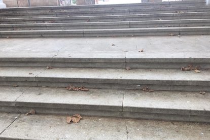 estudi sobre el terreny