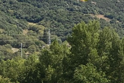 Zona de difícil acceso - Los Bomberos activaron dos dotaciones terrestres y un helicóptero de los GRAE para rescatar a la mujer, que cayó de una altura de cerca de ocho metros a una zona de difícil acceso a la orilla del Noguera Pallaressa. ...
