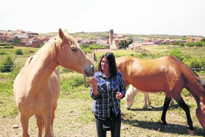 La Associació per la Recuperació i Rehabilitació d’Equins (ARRE) acoge actualmente a 15 caballos en el refugio de Alcanó.