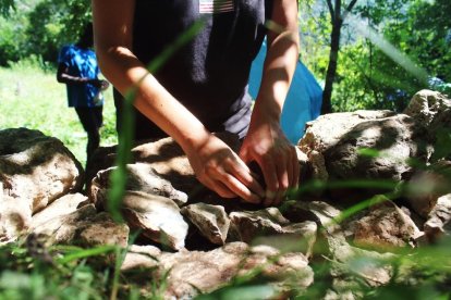 Caminar de nou sobre vells camins