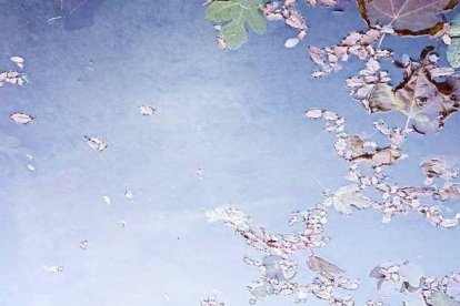 Paisatgista de la Noguera