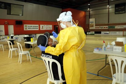 La meitat de les persones del cribratge massiu de Mollerussa són docents