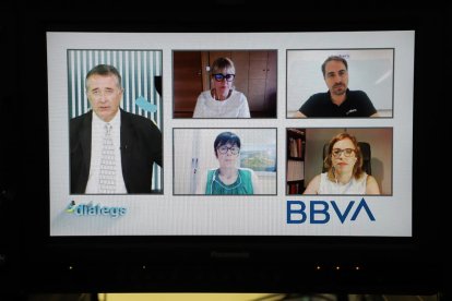 Un momento de los cuatro ponentes en el seminario digital con el moderador.