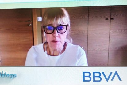 Un momento de los cuatro ponentes en el seminario digital con el moderador.