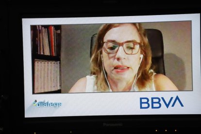 Un momento de los cuatro ponentes en el seminario digital con el moderador.