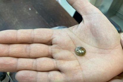 Les actuacions se centren en les termes, la muralla i l’hostal.