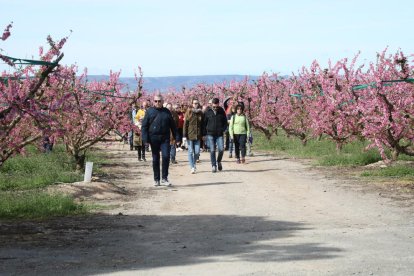 Imagen de uno de los grupos de japoneses que visitaron ayer los campos en flor de Aitona.