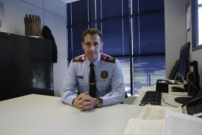 Imatge d’una plantació desmantellada fa un any a l’Horta i que podia fer cinc collites a l’any.