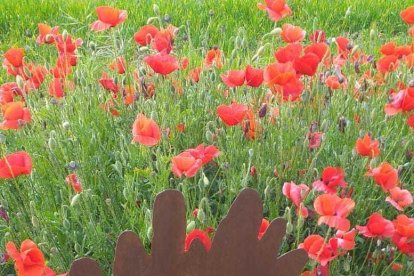 Eines convertides en art