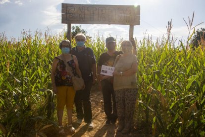 El laberinto ofrece un recorrido de 3 kilómetros por diferentes pasillos en una finca de 3 hectáreas.