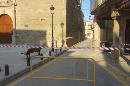 Retiren un eixam d'abelles de l'església de Linyola