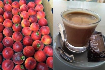 Un tallat per quaranta préssecs