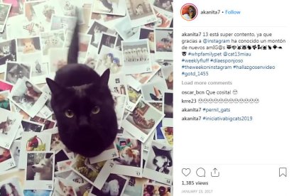 Binomi relat i imatge