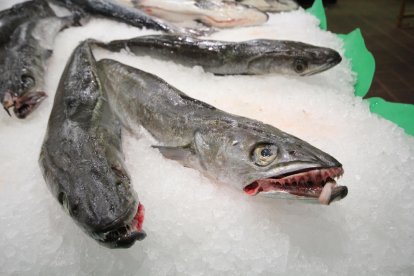 Peixateries Ledesma, a la Bordeta, ha registrat un augment de reserves per a la setmana que ve.