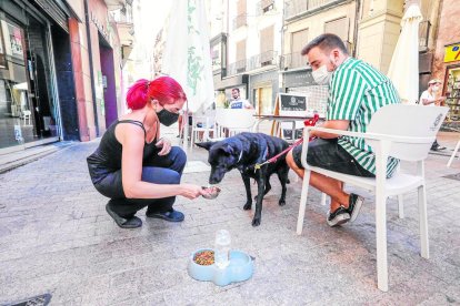 Los dueños de un cachorro de mes y medio viendo cómo su mascota se comía su primer menú, ayer.