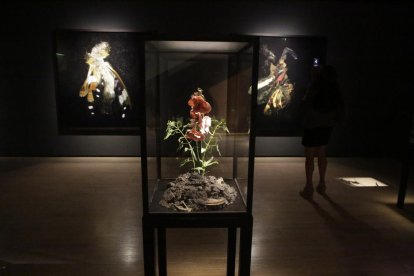 La directora de la Fundació Sorigué, Ana Vallés, y Mat Collishaw, junto a una obra de ‘flores en llamas’.