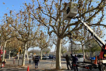 Bon Nadal i que tinguem salut