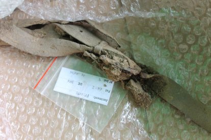 Imagen de parte del esqueleto hallado ayer.