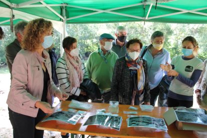 Imagen de parte del esqueleto hallado ayer.