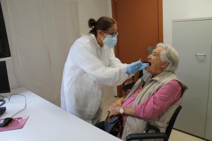 Imagen de parte del esqueleto hallado ayer.