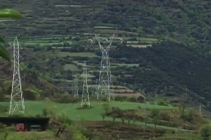 La vaca estava de part quan els voltors van atacar. Van matar el vedell i van provocar ferides a la mare que van obligar a sacrificar-la.
