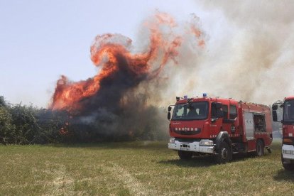 Los Bomberos de la Generalitat alertan de que el riesgo de incendio forestal continúa muy alto