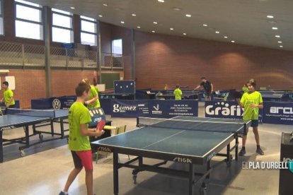 Una seixantena de joves participen al campus d'estiu del CTT Mollerussa