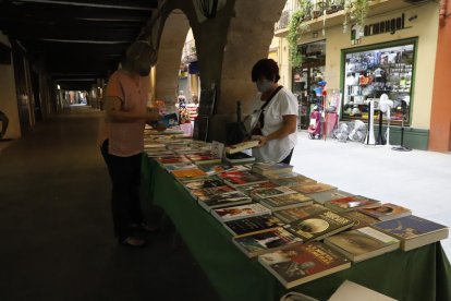 La Seu va celebrar la diada al passeig Brudieu amb una dotzena de parades.