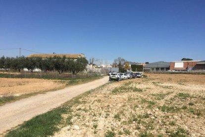 La policía entra en un almacén en el marco de la operación contra el tráfico de marihuana en Alcarràs.