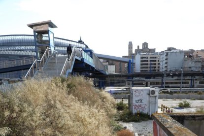 Malas hierbas y basura junto a la pasarela.