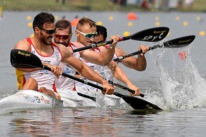 Saül Craviotto, Carlos Arévalo, Marcus Walz y Rodrigo Germade después de terminar segundos en la final de K4 500 del Mundial de Szeged.