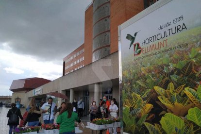 VÍDEO | Una empresa de Bellmunt regala plantes als sanitaris de l'Arnau i el Santa Maria de Lleida