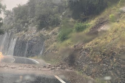 Fulles, olives i pedra al peu d’una de les oliveres afectades per la pedra a Bovera.