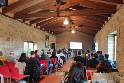 Los visitantes pudieron participar en la recolección de aceitunas durante el día.