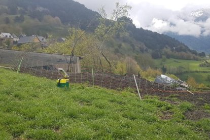 El pastor elèctric enderrocat i la granja, propera a habitatges.