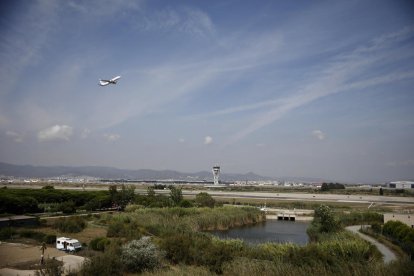 Emprenyar la gata amb l’aeroport!