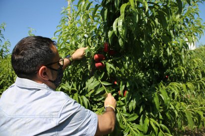 En defensa del pagès de Ponent
