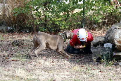 Bombers instala una sede del Grupo Canino de Búsqueda en el parque de Lleida y dará servicio a todo el país