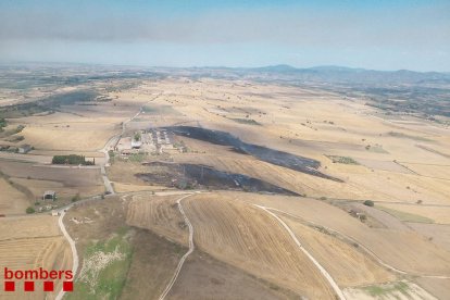 El incendio de La Donzell calcinó un bosque de encinas.