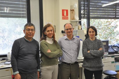 Lleida combat el coronavirus