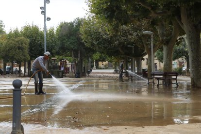 Imagen de un grupo de voluntarios limpiando ayer un jardín de una casa de Arbeca.