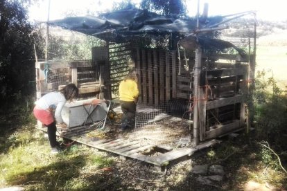 Nens de l’escola bosc Arrels de Bellver de Cerdanya, que funciona amb èxit des del setembre de l’any passat.