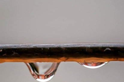 Tres instagramers guanyen #ambSegreaCasa