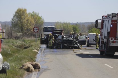 En primer plano dos de las ovejas y al fondo, los dos vehículos contra los que colisionaron.